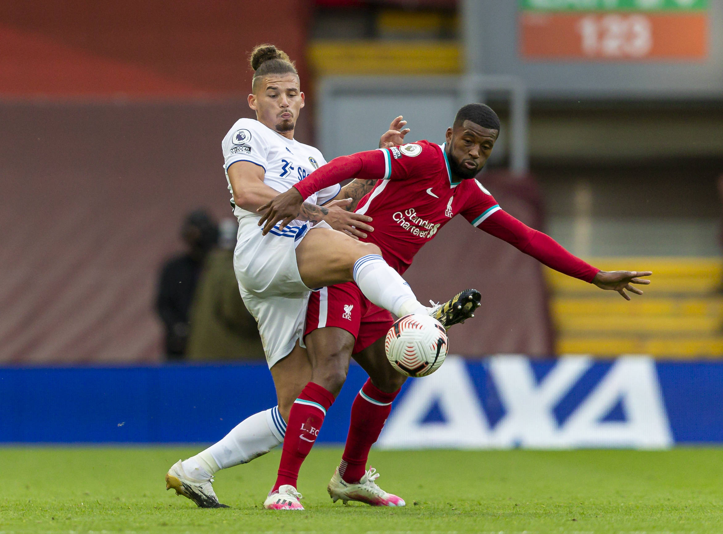 召开的上合 召开的上合